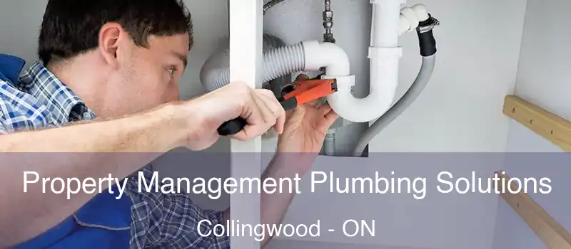  Property Management Plumbing Solutions Collingwood - ON