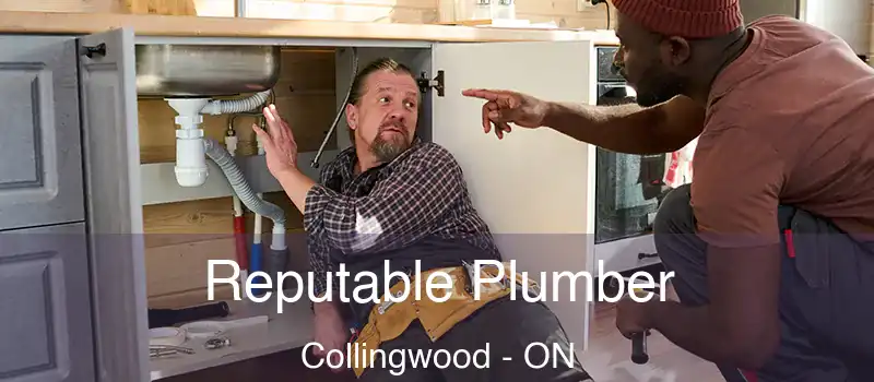  Reputable Plumber Collingwood - ON