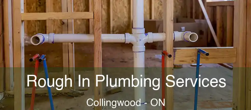  Rough In Plumbing Services Collingwood - ON