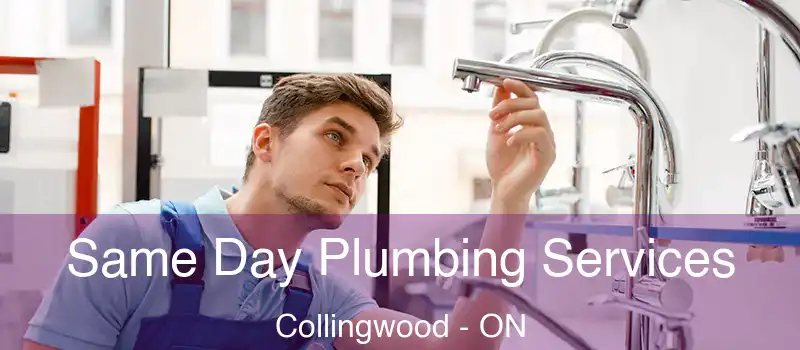  Same Day Plumbing Services Collingwood - ON