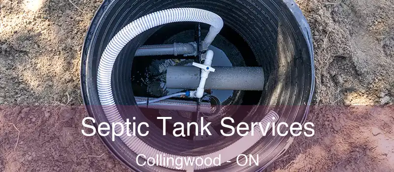  Septic Tank Services Collingwood - ON