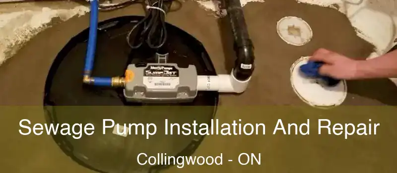  Sewage Pump Installation And Repair Collingwood - ON
