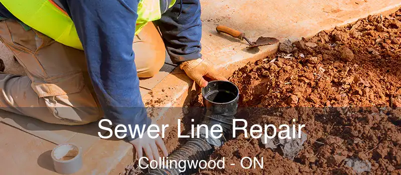  Sewer Line Repair Collingwood - ON