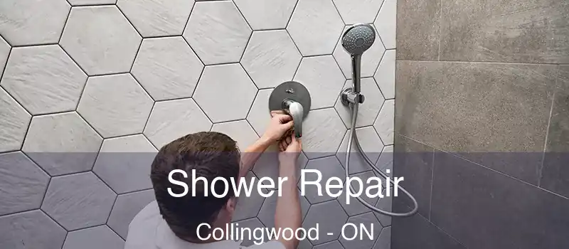  Shower Repair Collingwood - ON