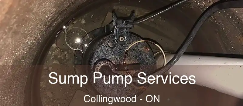  Sump Pump Services Collingwood - ON