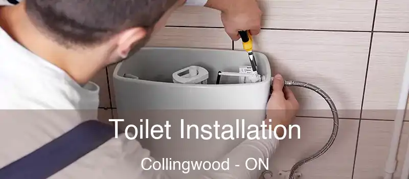  Toilet Installation Collingwood - ON