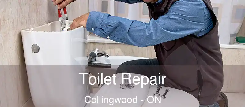  Toilet Repair Collingwood - ON