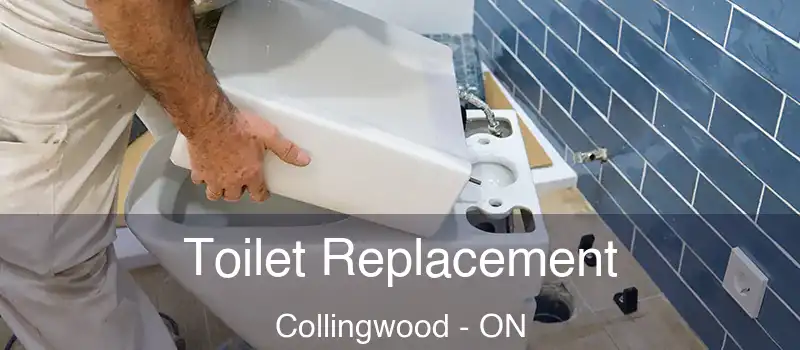  Toilet Replacement Collingwood - ON