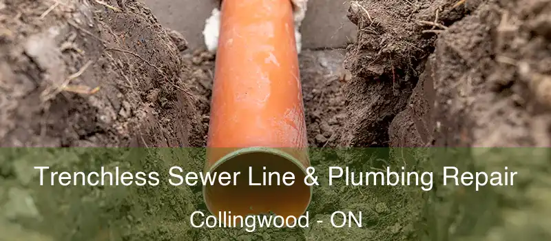  Trenchless Sewer Line & Plumbing Repair Collingwood - ON