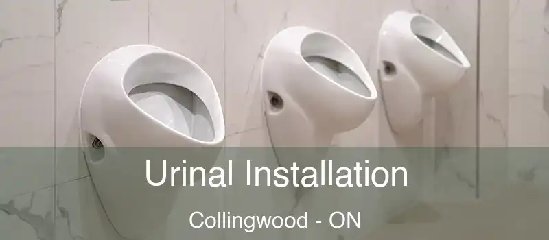  Urinal Installation Collingwood - ON