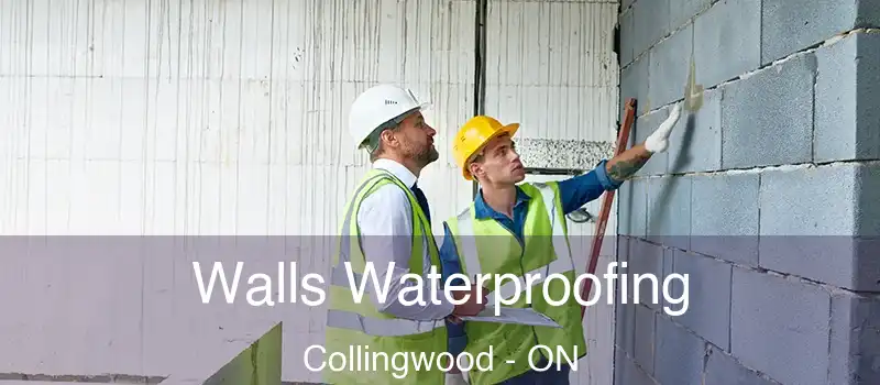  Walls Waterproofing Collingwood - ON