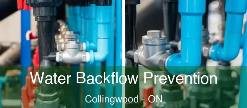  Water Backflow Prevention Collingwood - ON