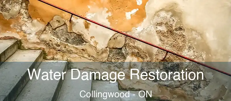  Water Damage Restoration Collingwood - ON
