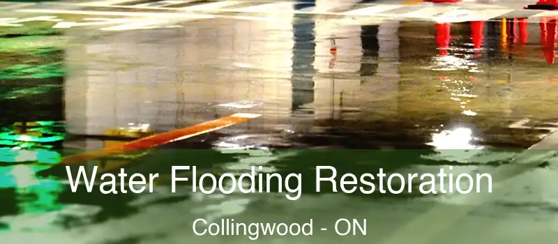  Water Flooding Restoration Collingwood - ON