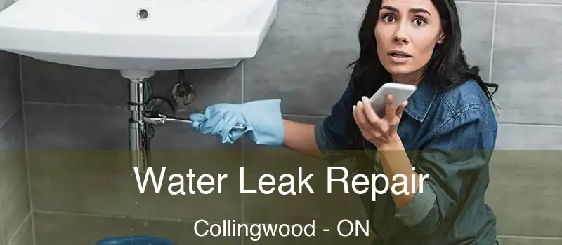  Water Leak Repair Collingwood - ON