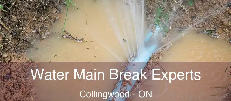  Water Main Break Experts Collingwood - ON