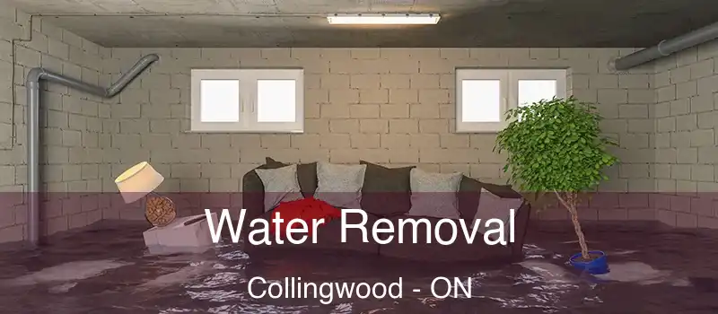  Water Removal Collingwood - ON