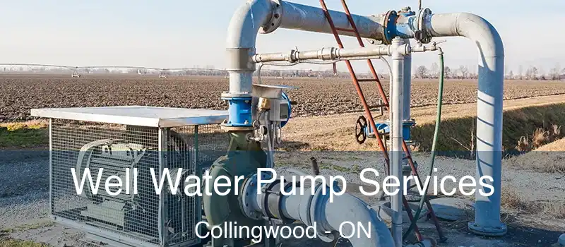  Well Water Pump Services Collingwood - ON